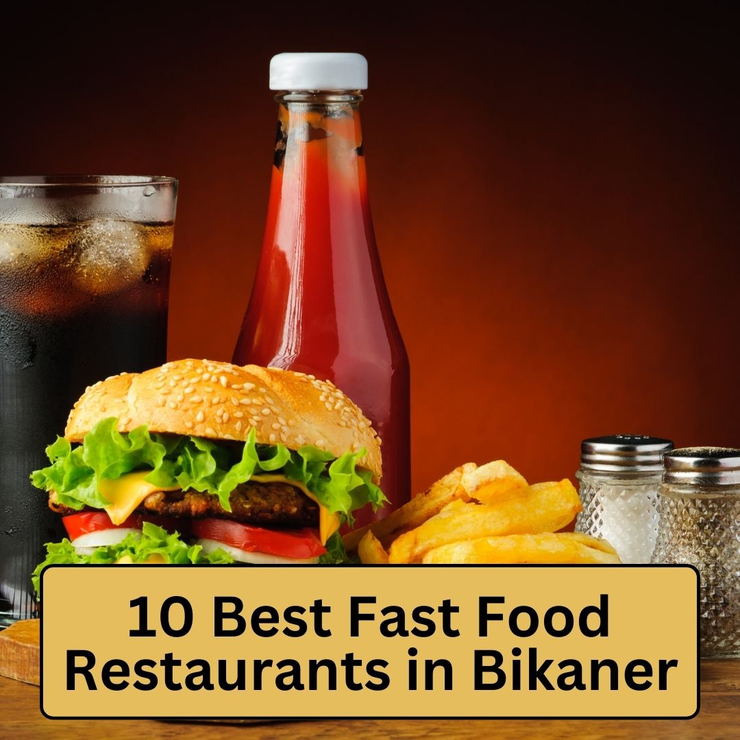 10 Best Fast Food Restaurants in Bikaner